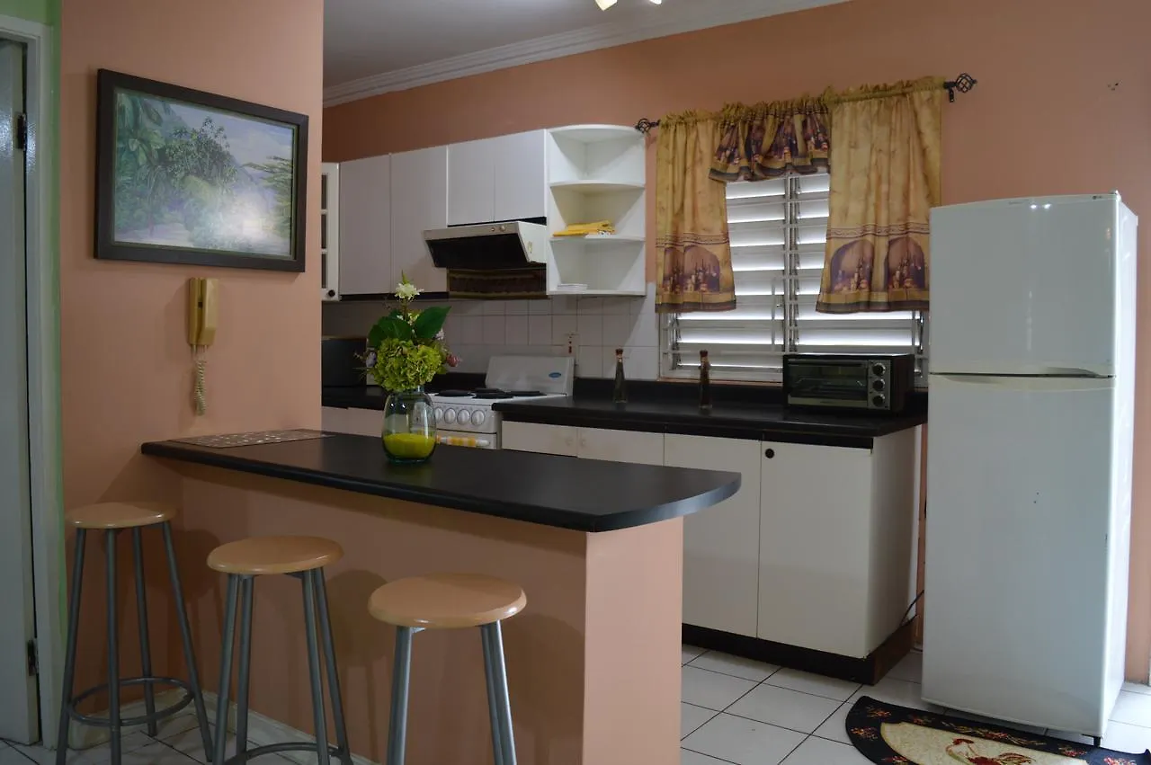 شقة Saint Andrew  في Palm Grove Waterloo Avenue